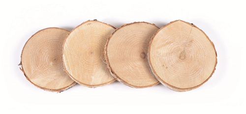 GC Houten Schijven 7-10 cm 4 stuks
