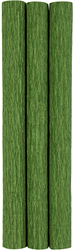 CC Crêpepapier 25x60 cm Groen