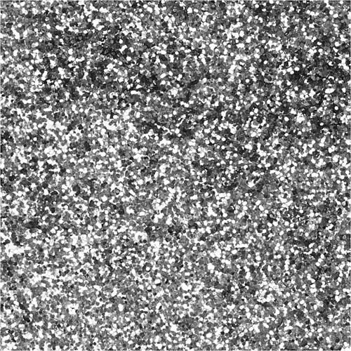 CC Bio Glitter 10gr Zilver