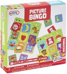 Grafix Bingo Game with Pictures