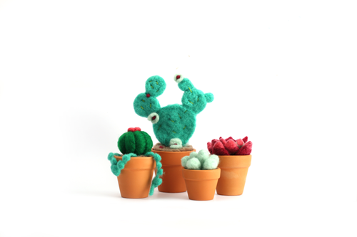 GC Viltpakket Woltuin Cactussen Naaldvilten-2