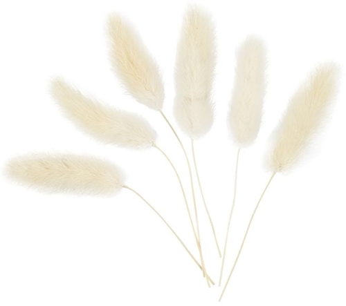 CC Bunny tail grass, L: 3-7 cm, 6 pc/ 1 pack