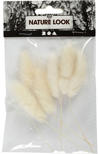 CC Hazenstaart Gras 3-7 cm 6 stuks-3