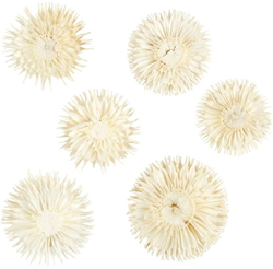 CC Dried Flower Heads, Dia. 3-5 cm, 6 pc/ 1 pack