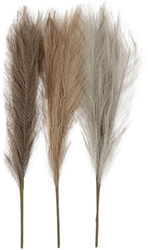 CC Pampas grass, light beige, light brown, light grey, L: 50 cm, 3 pc/ 1 bundle
