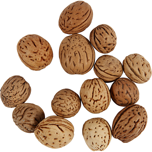 CC Noten 15-25 mm 25 gr