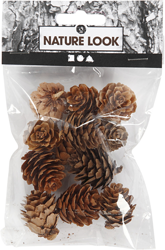 CC Larch cones, 12 pc/ 1 pack-3