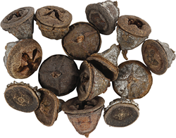 CC Eucalyptus cones, 25 g/ 1 pack