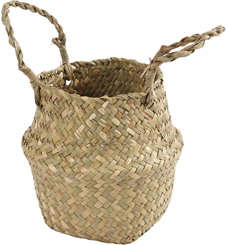 CC Mand van Zeegras 7/15 cm