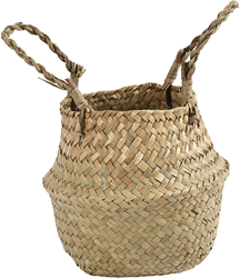 CC Mand van Zeegras 11/19 cm