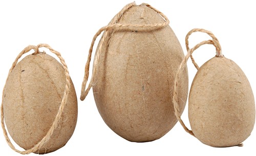 CC Eieren 6 stuks