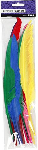 CC Veren Gekleurd l: 27cm 12 stuks