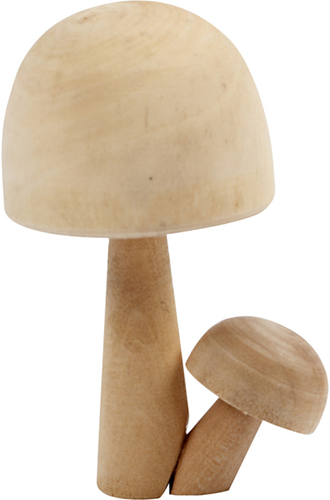 CC Paddenstoelen-2