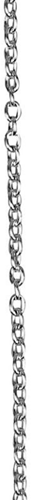 CC Jasseron Verzilverd 2mm 2m
