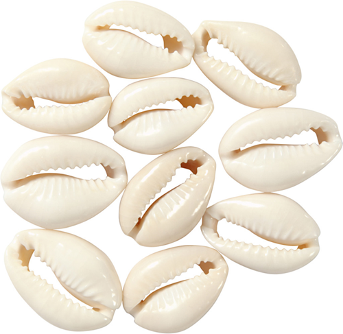 CC Schelpen Kralen 20 mm Naturel 12 stuks
