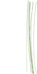 CC Bloemsteeldraad 30 cm Groen 20 Stuks