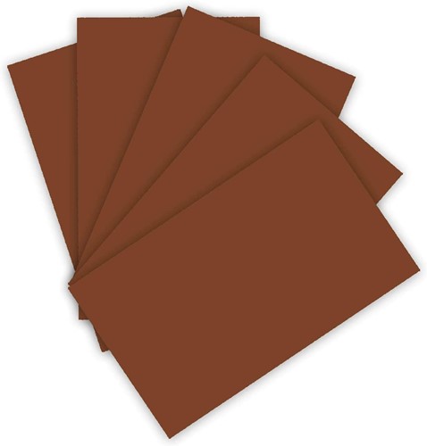 Folia Tekenpapier 50X70 cm 130 gr 10 Vel Bruin