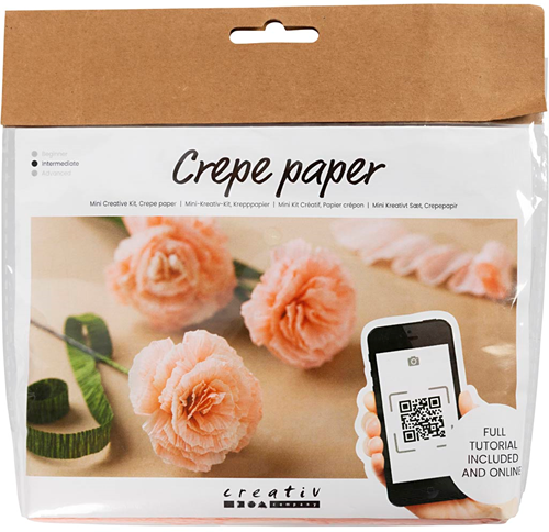 CC Creatieve Mini Hobbyset Crêpepapier Bloemen Anjers