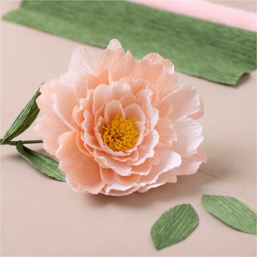 CC Creatieve Mini Hobbyset Crêpepapier Bloemen Pioenroos-2