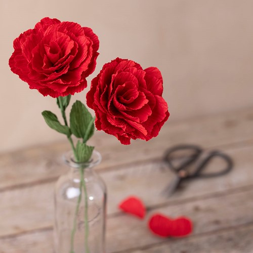 CC Mini Craft Kit Crepe Paper, Roses, Crêpe ratio: 180%, 105 g, 1 pack-2