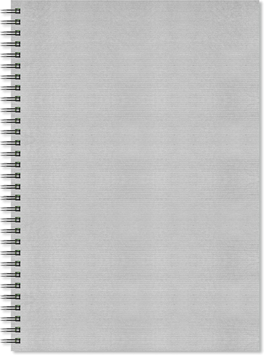 Artgecko Flashy Spiral Sketchbook A3 Portrait 150 gr 40 sheets Silver Cover
