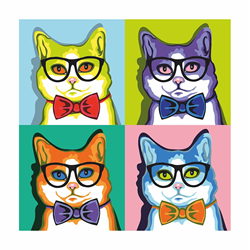 Rosa Start Paint by Number Cats Squares 35x35 cm
