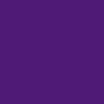 Dark Purple 6029