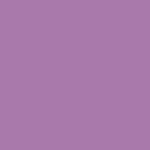 Blueberry Shake