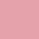 Dried Rose