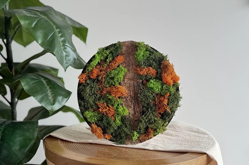 LC DIY Mosschilderij maken met Rendiermos Oranje