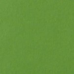 Grasgroen