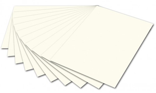 Folia Tekenpapier 50X70 cm 130 gr 10 Vel Parelwit