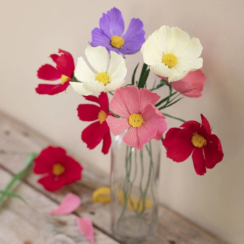 Cosmos crêpepapier bloemen