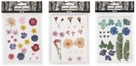 CC Dried Flowers and Leaves 19 pcs