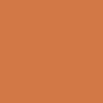 Neon Oranje 