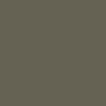 Burnt Umber 4012