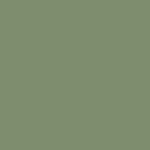 Paint Sage