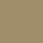 Desert Beige 0357