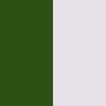 Groen & Zilver