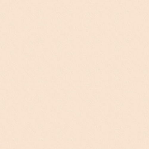Folia Fotokarton 10 vel - 300gr - Licht Beige - 50 x 70 cm