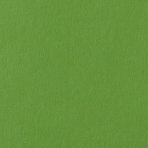 Folia Fotokarton 10 vel - 300gr - Grasgroen - 50 x 70 cm