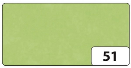 Folia Vliegerpapier - 20 rol - 70x100 cm - Lichtgroen