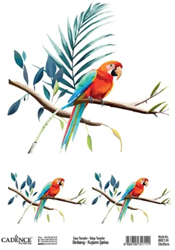 Cadence Birdsong Easy Transfer BRET-01 25x35 cm