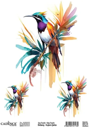 Cadence Birdsong Easy Transfer 25x35 cm Tropische vogel