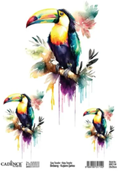 Cadence Birdsong Easy Transfer 25x35 cm Toekan