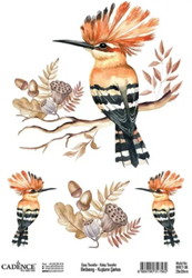 Cadence Birdsong Easy Transfer 25x35 cm Vogel met kuif