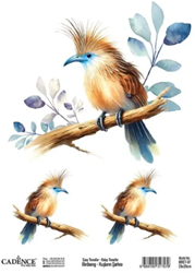 Cadence Birdsong Easy Transfer BRET-07 25x35 cm