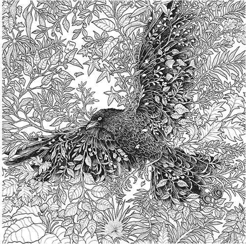 Coloring Book - Wondermorphia L: 25 x W: 25 x D: 1.2 cm-3