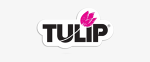 Tulip