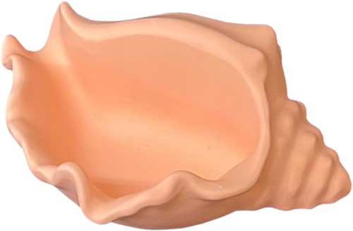 Siliconen Mal 14,8x10x6,3 cm Schelp-3